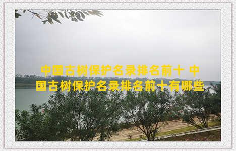 中国古树保护名录排名前十 中国古树保护名录排名前十有哪些